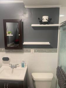 een badkamer met een wastafel, een toilet en een spiegel bij Brooklyn Luxury Spring Retreat with Private Outdoor Space in Brooklyn