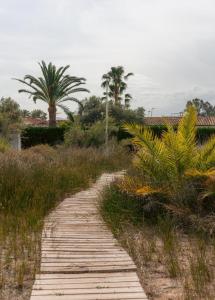 a wooden path through a field with palm trees at La Siesta Hostel in Almarda