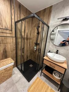a bathroom with a shower with a sink and a mirror at Apartament 28 w Dolinie Baryczy - 5D Apartamenty in Milicz +34 photos