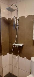 a shower with a shower head in a bathroom at Damech Apparts in Yaoundé +10 photos