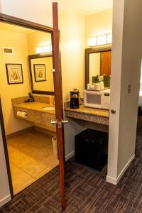 a bathroom with a sink and a microwave on a counter at Lake Natoma Inn in Folsom