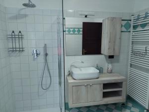 Un baño con lavabo y ducha de cristal. en Appartements Le-Z-Aravì 2, en Aosta