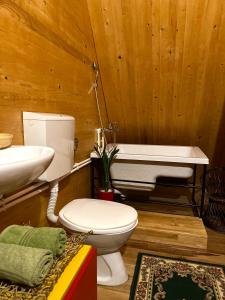 uma casa de banho com um WC e um lavatório em Household Jakic em Pljevlja