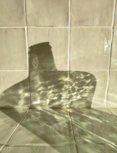 Fotografie z fotogalerie ubytování CALA PIPA v destinaci El Poblenou del Delta