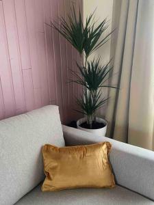 オーステンデにあるRuim duplexappartement Oostende met groot terrasの植物の横のソファに座る枕