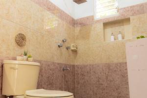 a bathroom with a toilet and a shower at Departamento amplio, privado y completo in Valladolid