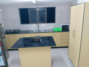 - une cuisine avec un comptoir et un évier dans l'établissement Barrett Accommodation Apartment, à Suva