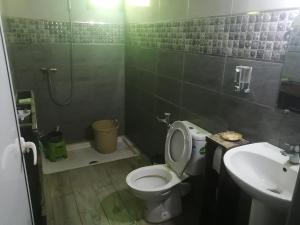 a bathroom with a toilet and a sink and a shower at Apartment Ghazoua in Essaouira