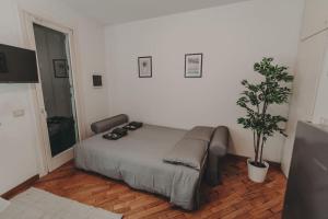 - une chambre avec un lit et une plante en pot dans l'établissement [Centro] Casa con parcheggio, à Ravenne