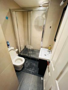 a bathroom with a shower and a toilet and a sink at Luxurious 2 bedroom apartment in Central London in London