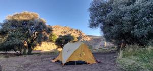 a tent sitting in the middle of a field at Hostal Casona Don Ranulfo in Peñas