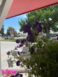 Fotografie z fotogalerie ubytování Greybull Motel v destinaci Greybull