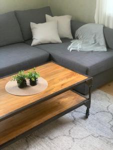 un sofá con 2 macetas en una mesa de centro en Gotell, en Erikslund