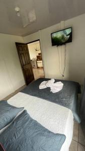 1 dormitorio con 2 camas y TV en la pared en La Casa de la Libélula, en Coto Brus