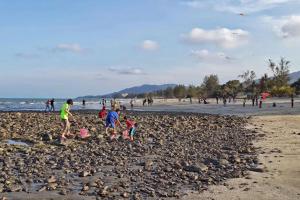 クアンタンにあるHomestay Pantai Batu Hitam Kuantan No14の岩場遊び団