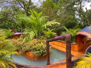 a water feature in a garden with plants in it at Hotel Heliconias Nature Inn & Hot Springs in Fortuna