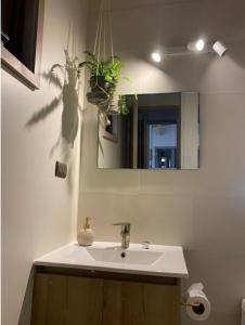 La salle de bains est pourvue d'un lavabo et d'un miroir. dans l'établissement Riberas del Futa, à Valdivia