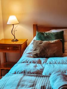 1 dormitorio con 1 cama con lámpara en una mesa en CABAÑAS BANDURRIAS en San Martín de los Andes