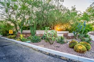 um jardim com cactos e outras plantas numa rua em Luxury 3BD/2BA Home Near Tucson w/ Desert Views em Oro Valley