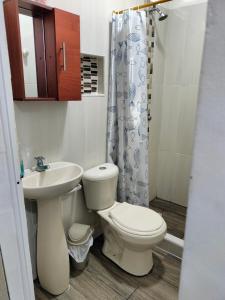 a bathroom with a toilet and a sink at Apartamento, La paz in Puerto Triunfo
