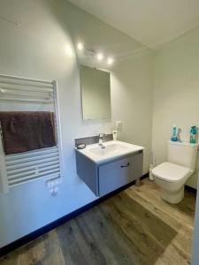 een badkamer met een wastafel en een toilet bij Appartement indépendant 30 m² à 500m du lac, 2 vélos et parking fournis in Sévrier