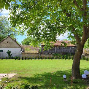 une cour verdoyante avec un arbre et une maison dans l'établissement Seoska kuća Totđerđ, 