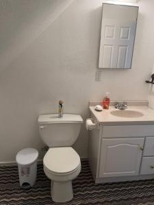 uma casa de banho com um WC branco e um lavatório. em Large One Bedroom on City Farmland em Longview