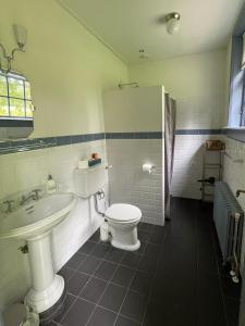 a bathroom with a white toilet and a sink at Logies Oud Bergveen in Veenhuizen