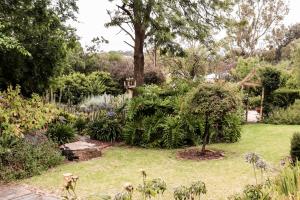 a garden with a small tree in the grass at Cole-Brook Cottage Historic House in McLaren Vale