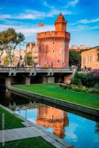 a castle with a bridge and a river in front of it at Appartement Perpignan in Perpignan