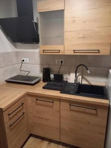 uma cozinha com um lavatório e uma bancada em Przytulny Apartament z Balkonem em Duszniki Zdrój