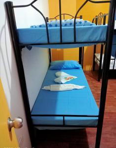 a bunk bed in a room with two bunk beds at Footprints Hostel in Coron +5 photos
