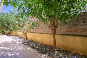 a tree in front of a wall with rocks at ANNA'S APARTMENT in Alexandroupoli