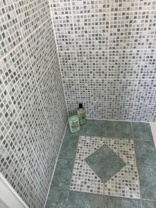 a bathroom with a shower with white tiles at Zénith de Rouen - Sud 3 - Diochon - Parc Expo in Le Grand-Quevilly