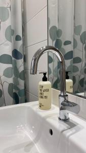 a bathroom sink with a soap container sitting on it at Appartements Haus Augustinus in Münster