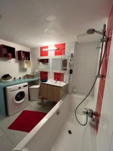 La salle de bains est pourvue d'un lavabo et d'un lave-linge. dans l'établissement Appart Terre Mer Deauville, à Bonneville-sur-Touques