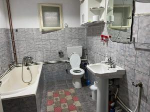 a bathroom with a sink and a toilet and a bath tub at Casa Danut in Vidra
