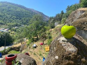 a green apple sitting on top of a rock at A Casa da Rapariga de Cabelo Azul in Manteigas