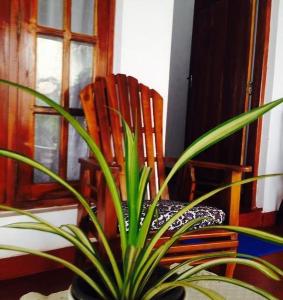 Posezení v ubytování New Manik Homestay