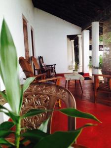 sala de estar con sofá, sillas y una planta en New Manik Homestay, en Negombo