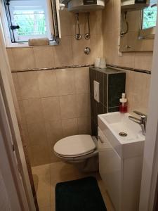 a small bathroom with a toilet and a sink at Zelena oaza in Baška Voda +11 photos