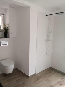 biała łazienka z toaletą i prysznicem w obiekcie Przestronne blisko jezior w mieście Osowiec Śląski