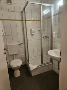 a bathroom with a toilet and a shower and a sink at Terra Ventura Hotel in Gondorf