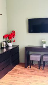 Televízia a/alebo spoločenská miestnosť v ubytovaní Dworcowa - Apartament