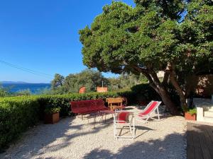 a group of chairs and a table under a tree at L'Arbousier in Rayol-Canadel-sur-Mer