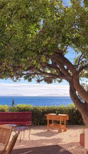 a picnic table and a bench under a tree at L'Arbousier in Rayol-Canadel-sur-Mer