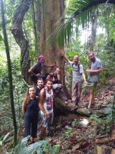 a group of people standing on a tree in the forest at Easylife Bungalow in Ko Lanta