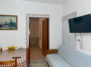 a living room with a couch and a tv on a wall at Apartments Dražica 4 in Zubovići