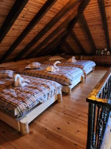 drei Hunde liegen auf Betten auf einem Dachboden in der Unterkunft Cabana Raul in Gura Humorului