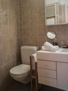 a bathroom with a toilet and a sink at Wisteria House - Holiday Apartment in Cadenazzo